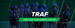 Recenzja Traf online 1