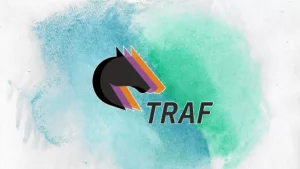 Recenzja Traf online 2