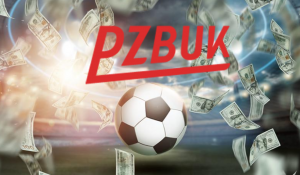 Sprawdź recenzję PZBuk